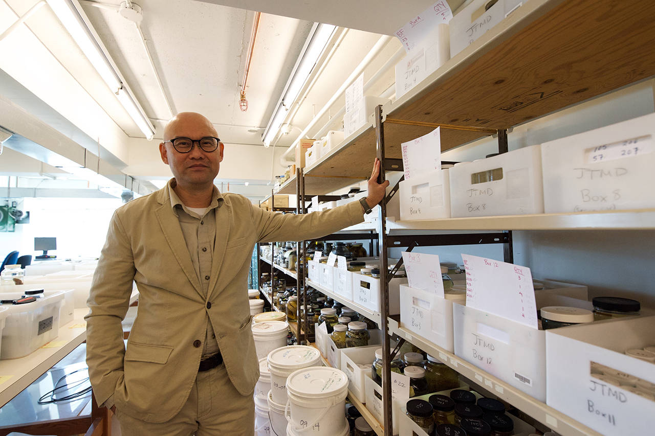 Henry Choong is the curator of invertebrate zoology at the Royal BC Museum. He’s standing next to a collection of samples of plants and animals washed along the west coast following the 2011 tsunami in Japan. (Nicole Crescenzi/News Staff)