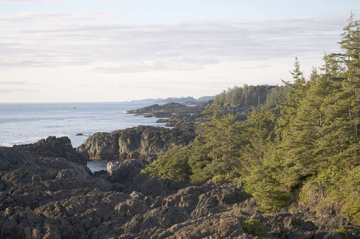 The Wild Pacific Trail’s abundant and breathtaking viewscapes have captured the hearts of residents and visitors and generated an economic goldmine for Ucluelet. (Photo - Laurissa Cebryk)