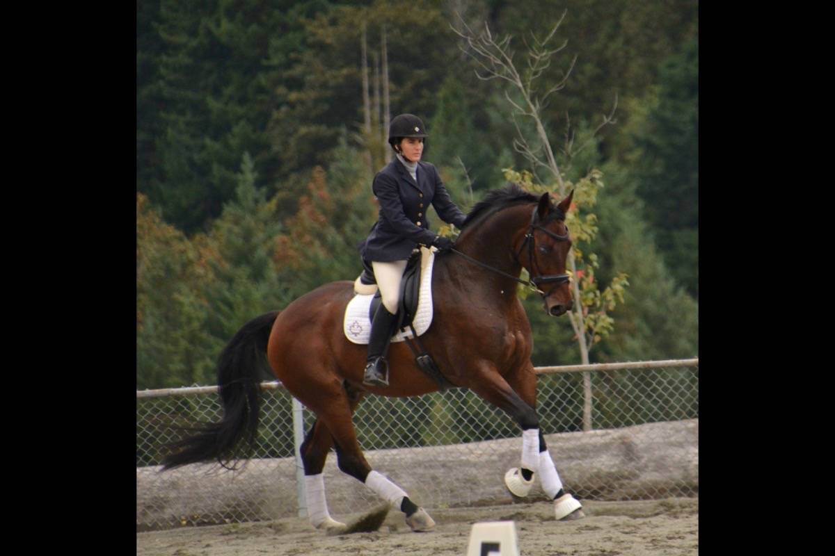 $1 rescued Vancouver Island horse goes from problem child to champion