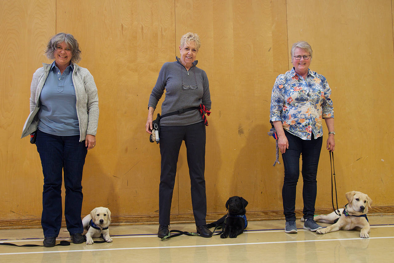 Cheryl Tradewell (left) with Blossom, Danielle Swanson with Aidan, and Sonja Seyfort with Sage. The volunteers will train the puppies for up to 18 months before they are transferred to advanced training, and their forever home. (Nicole Crescenzi/News Staff)