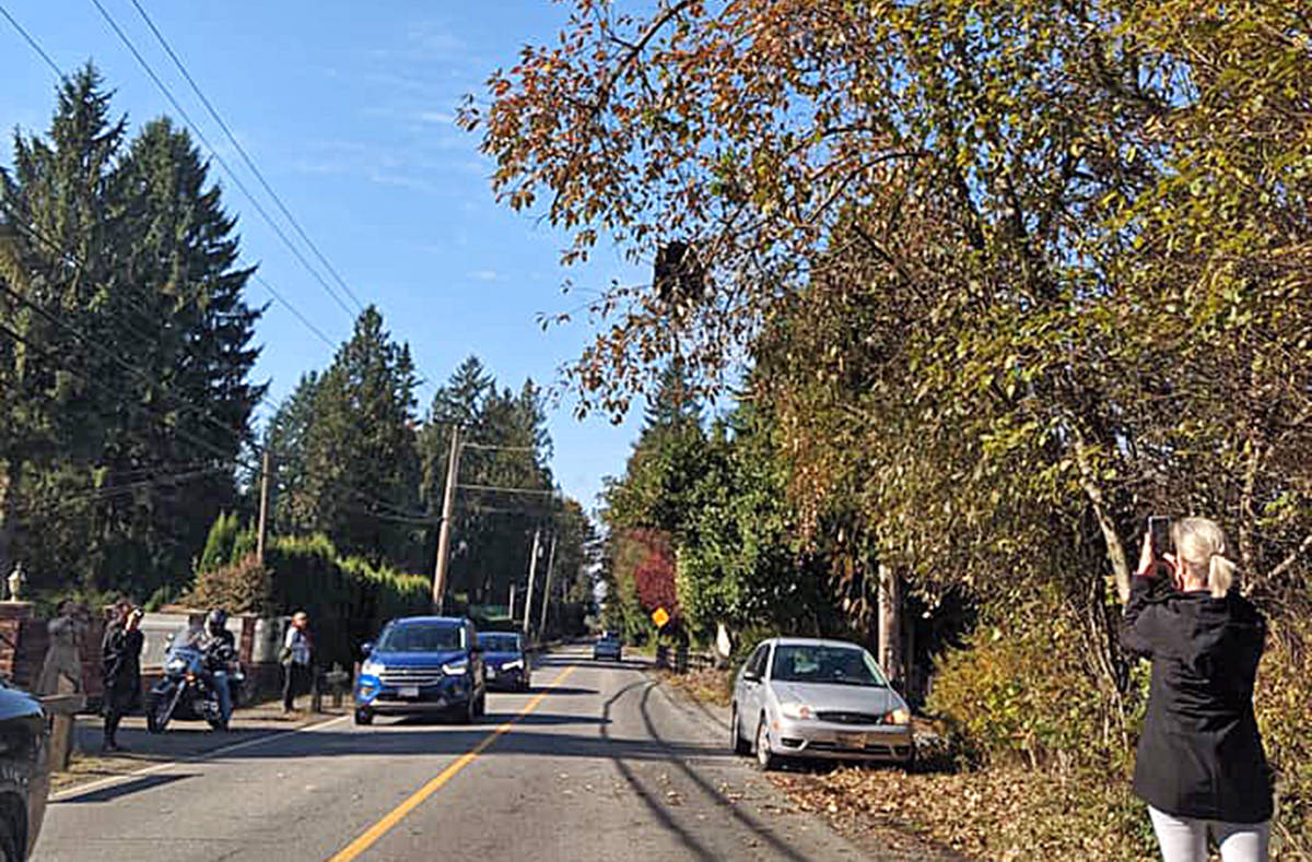 Members of the group Maple Ridge Bears became concerned the bear could fall onto a vehicle or cyclist. (Contributed)