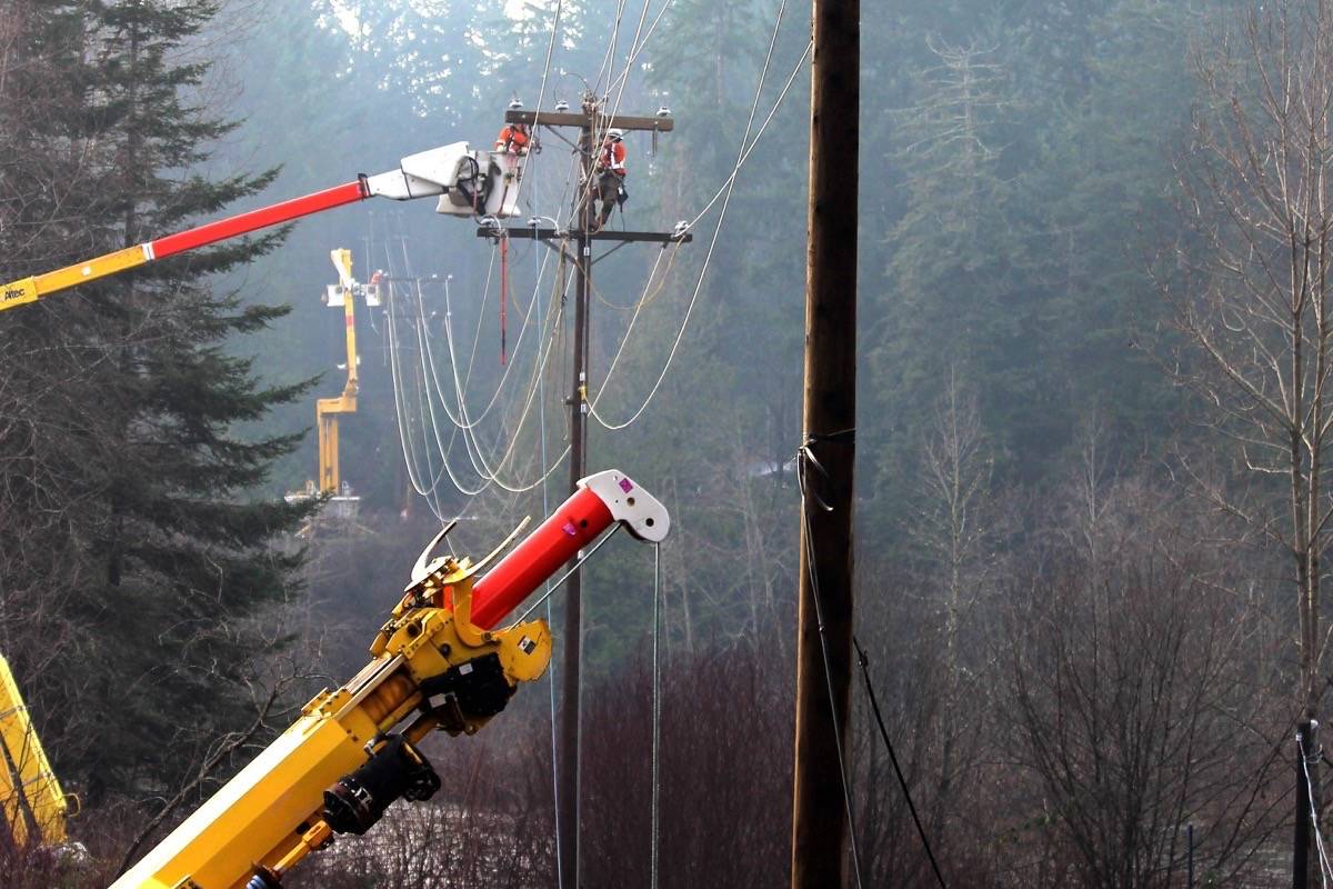 B.|C>. Hydro crews work to maintain lines in heavily wooded areas. (Contributed)