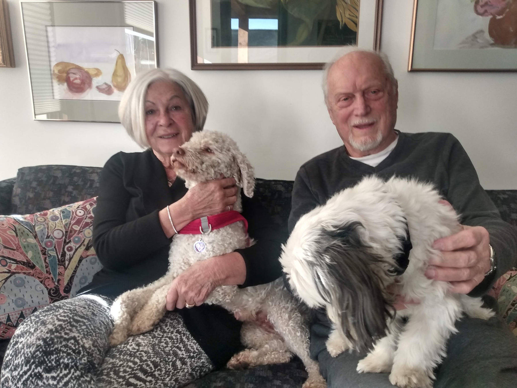 ‘It’s more than a lost pet, it’s a family member’: Rossland residents help find Molly the dog