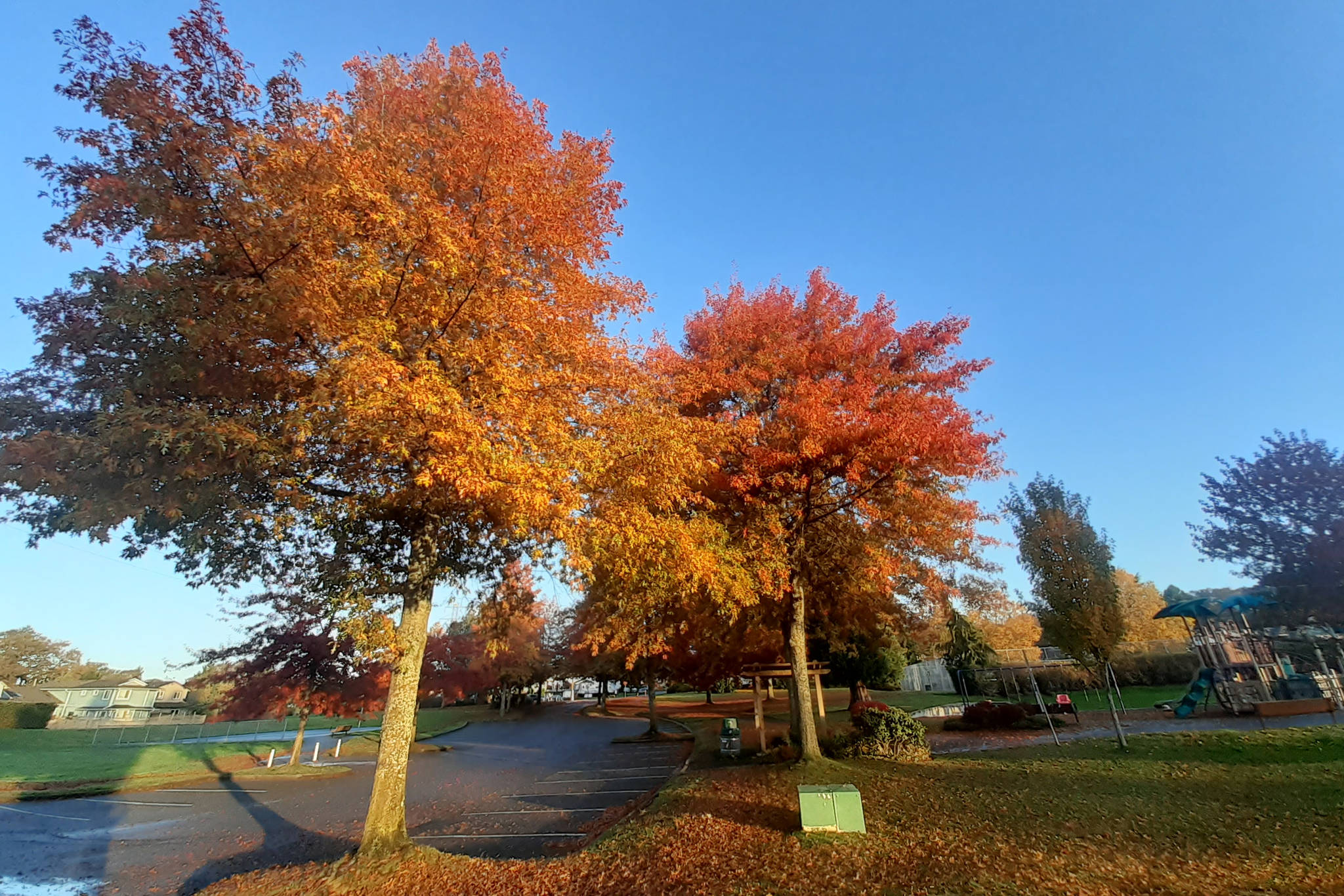 Fall in Beckwith park. (Ron Small photo)