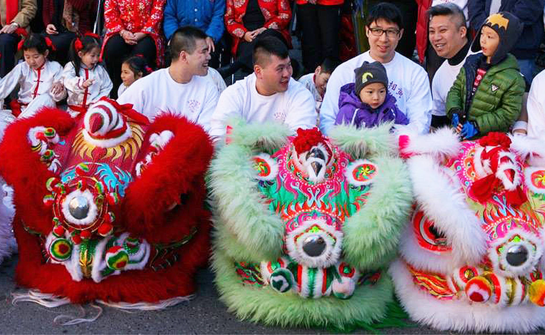 Ceremonial Chinese lion’s heads, with their wearers behind, sit lined up on Fisgard Street. The lion dance is a popular part of Chinese New Year celebrations. Facebook