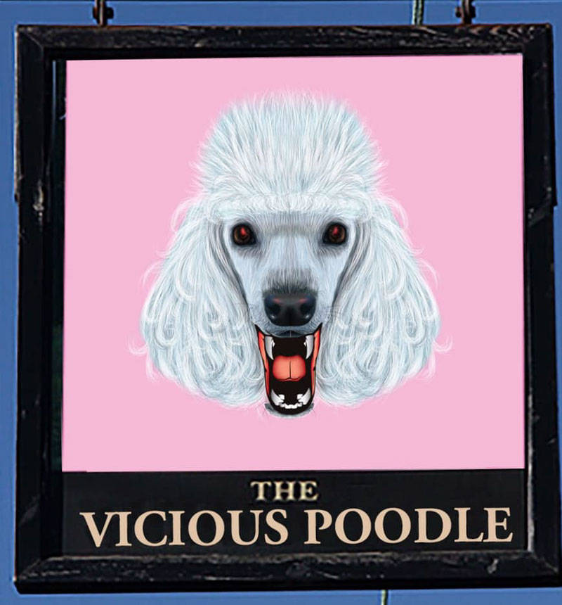 The Vicious Poodle will be located on Johnson Street between Douglas and Blanshard streets and is set to open early in the new year. (Socrates Diamant/Facebook)