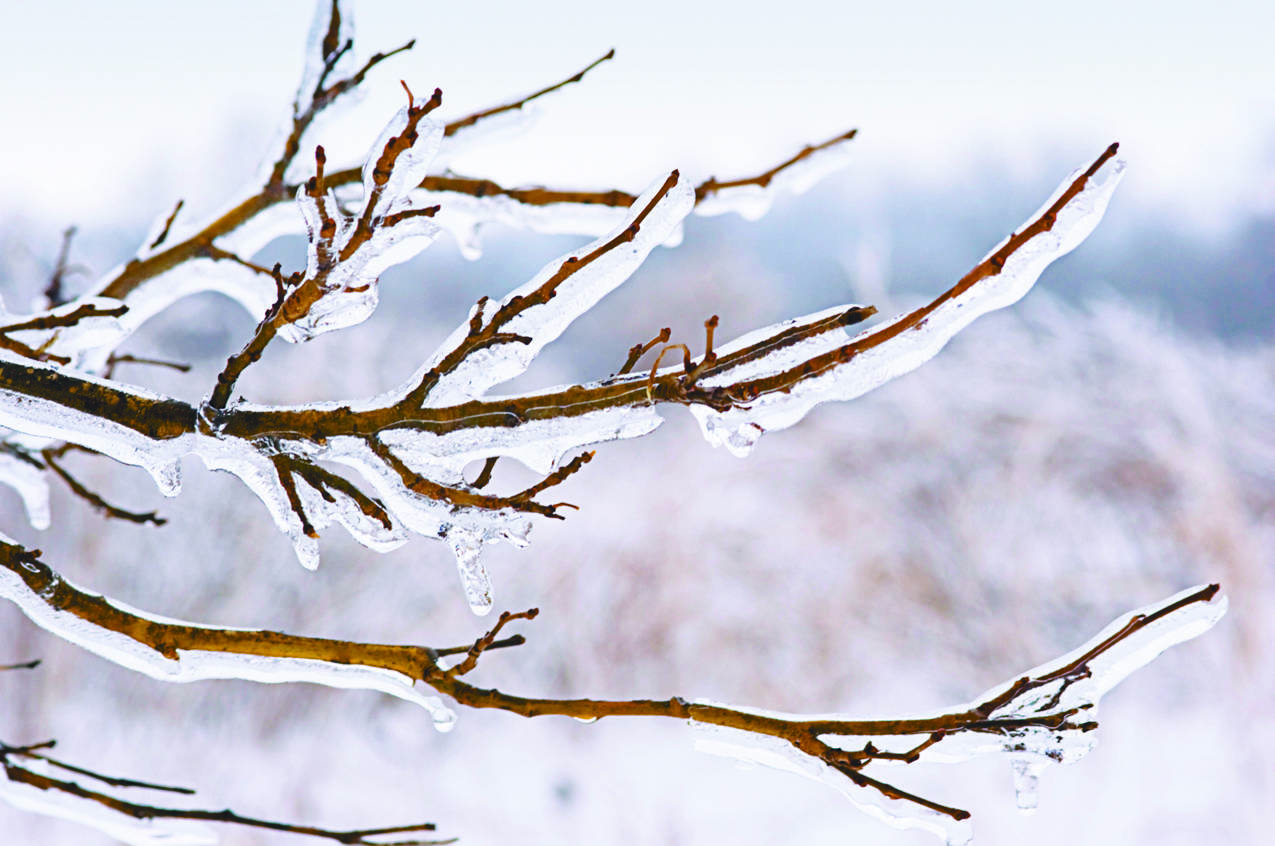 The Ministry of Public Safety and Solicitor General are urging British Columbians to prepare ahead of time for winter storms. (Black Press File Photo)