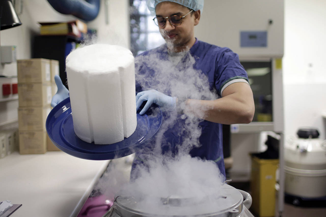 In this Tuesday, May 15, 2018, photo, scientist Fabrice De Bond opens the lid of a cryotank containing donor sperm samples in a lab at Melbourne IVF in Melbourne, Australia. (AP Photo/Wong Maye-E)