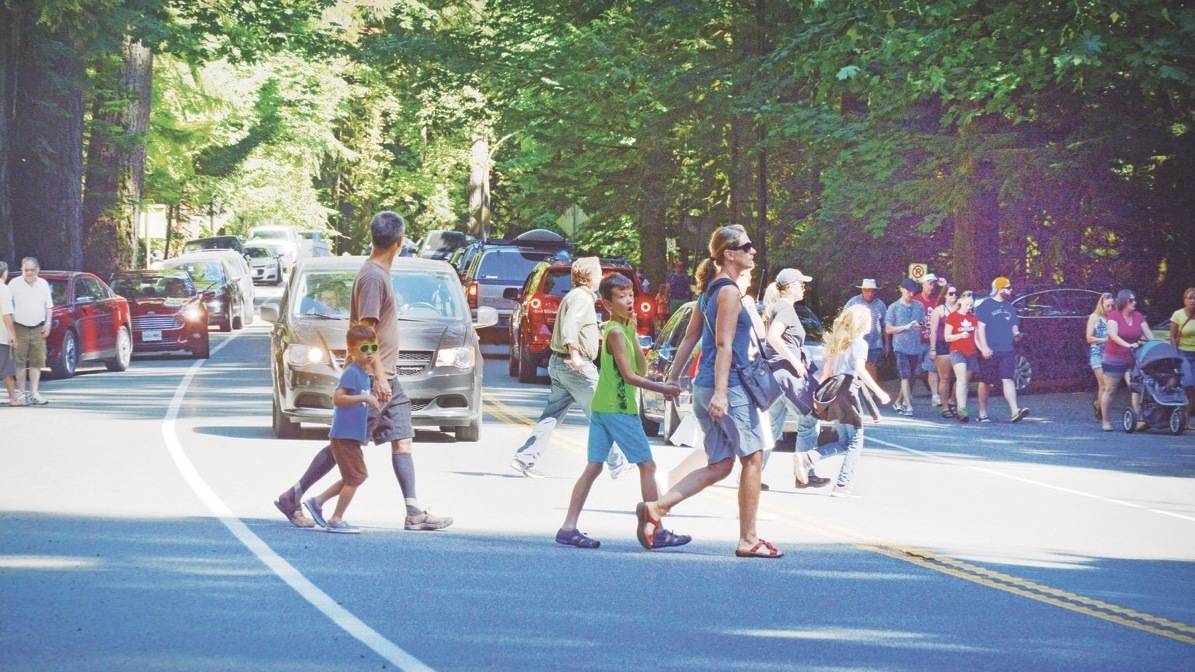 A family cross the highway splitting Cathedral Grove. — NEWS File Photo