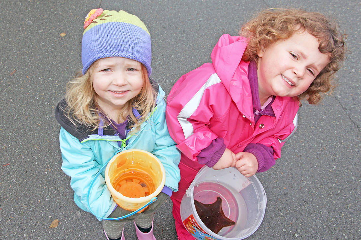 Emrey Brown and Elaina Ennis happily haul sea stars from the Ucluelet Aquarium down to the Whiskey Dock on Saturday as part of the aquarium’s annual release day festivities. Thousands of ocean creatures were sent back into the wild after delighting their fans throughout the aquarium’s season. (Photo - Andrew Bailey)