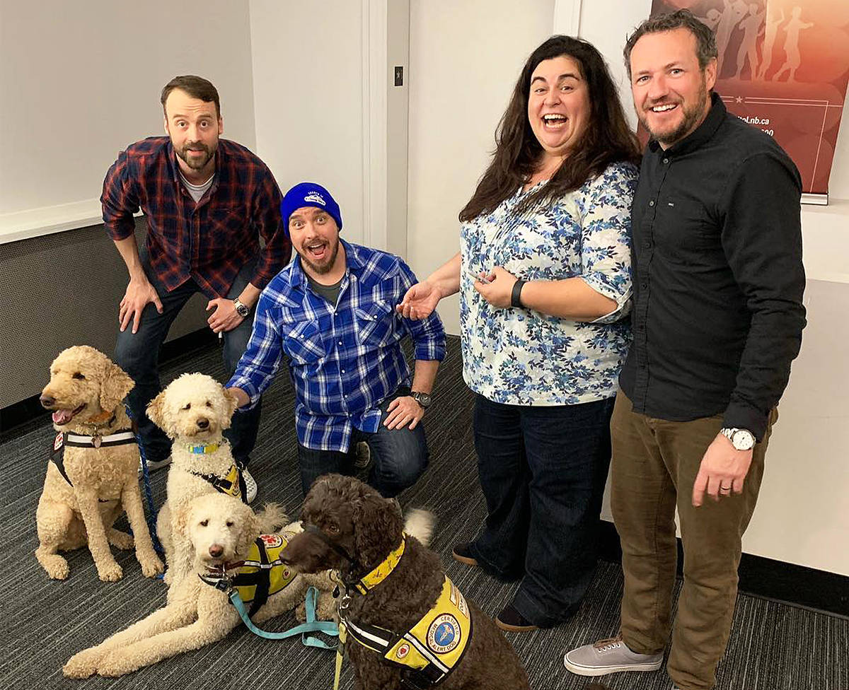 Paul Myrehaug (from left), Pete Zedlacher, Debra DiGiovanni and Dan Quinn bring their winter humour to Victoria on Jan. 18 as part of the Snowed In Comedy Tour. Facebook