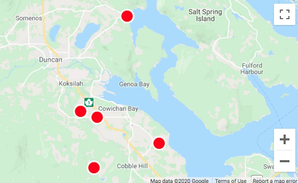 Almost 2,000 people began 2020 in Cowichan without power. (screenshot)