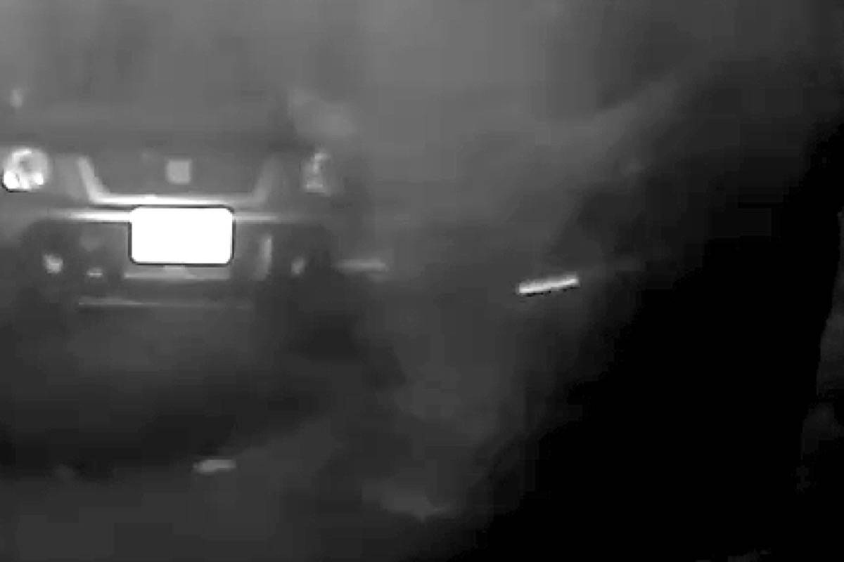 This mysterious late night visitor was captured on the security camera of a Sooke resident. The creature emerged from the mist and gave the family pause as they first reviewed the footage. (Contributed photo)