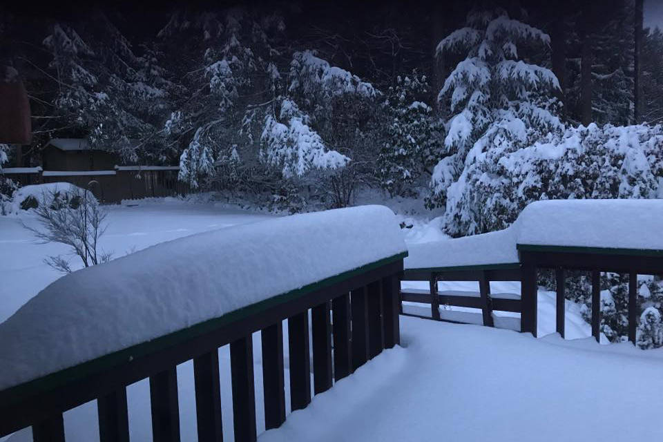 Greater Victoria got hit with another snowfall Tuesday night. Reader Rivers Stevens sent this photo in from Dean Park. (Photo by Rivers Stevens)