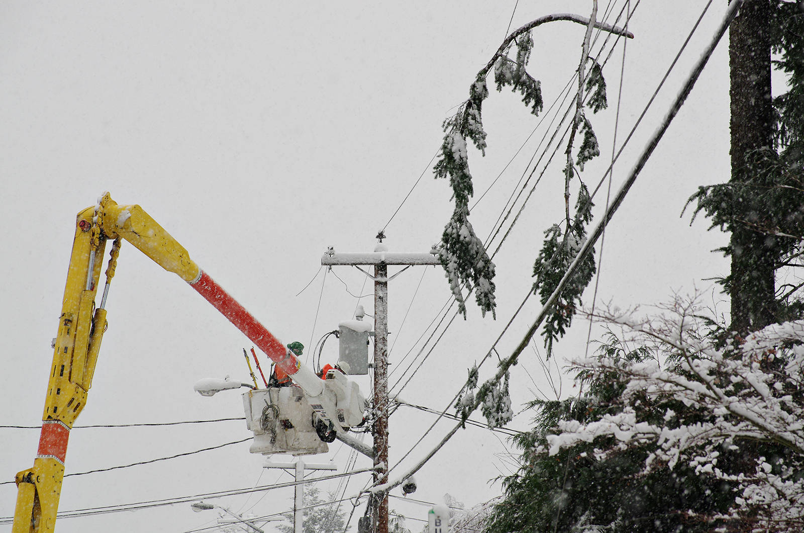 Falling trees and broken branches landing on power lines kept B.C. Hydro crews running as storm conditions hit Highway 14, west of Sooke. (Black Press Media)