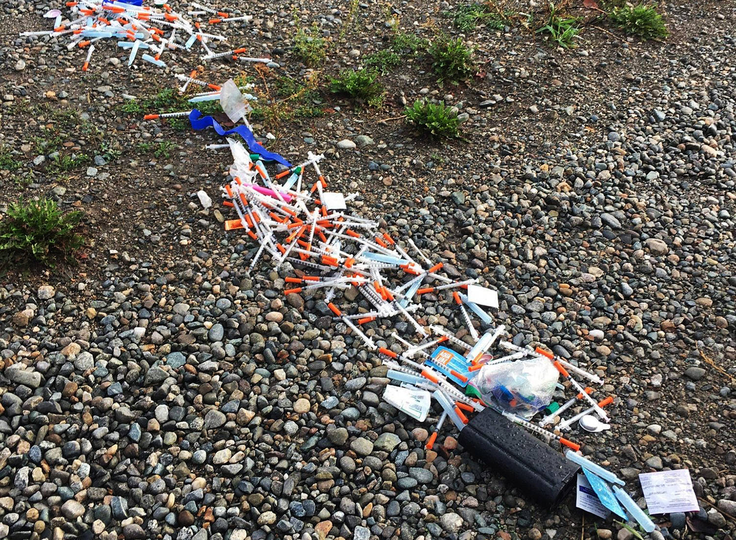Vancouver Island youngsters offer innovative solutions for discarded hypodermic needles