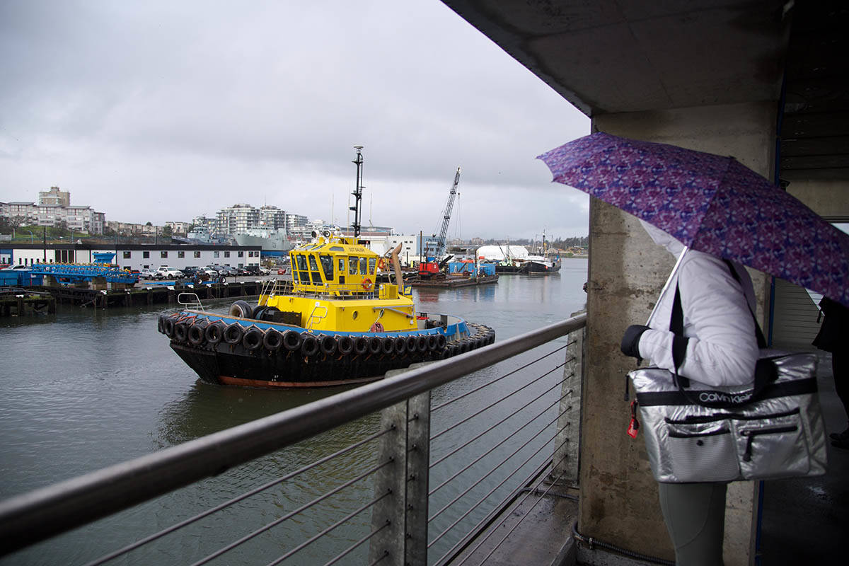 Tug boats go out to collect the second of two new hybrid vessels from BC Ferries. The vessels pulled into the Point Hope Shipyard after a two-month journey from Romania. (Nicole Crescenzi/News Staff)