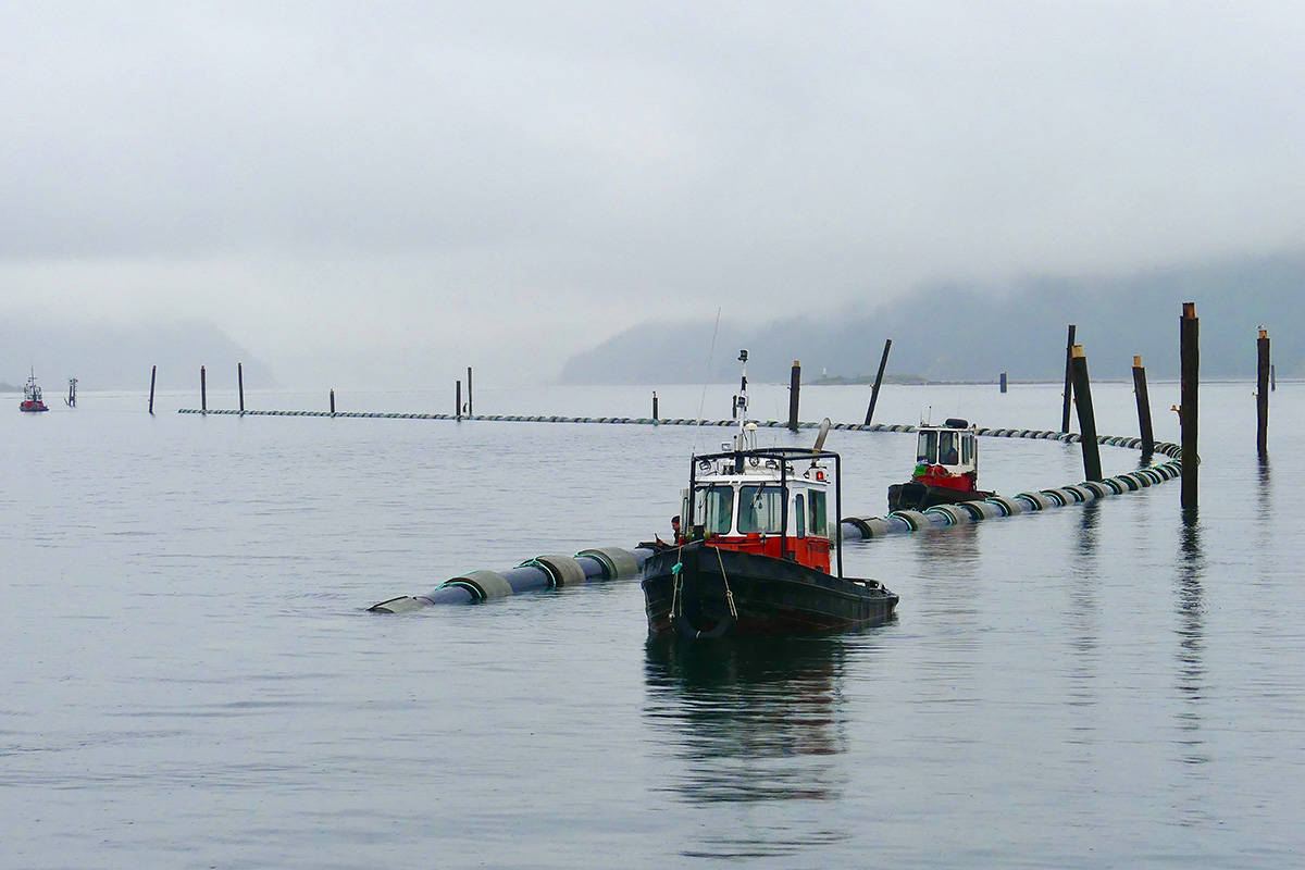 Tugboats float the outfall for the City of Port Alberni’s wastewater treatment plant out into Alberni Harbour. (CITY OF PORT ALBERNI PHOTO)
