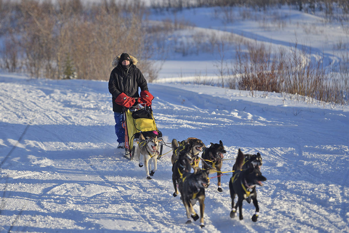 Hans Gatt arrives at the Mile 101 checkpoint during the 2019 Yukon Quest. Gatt’s sled for this race was a “tail dragger” but he removed the rear box earlier in the race. (John Hopkins-Hill/Yukon News file)