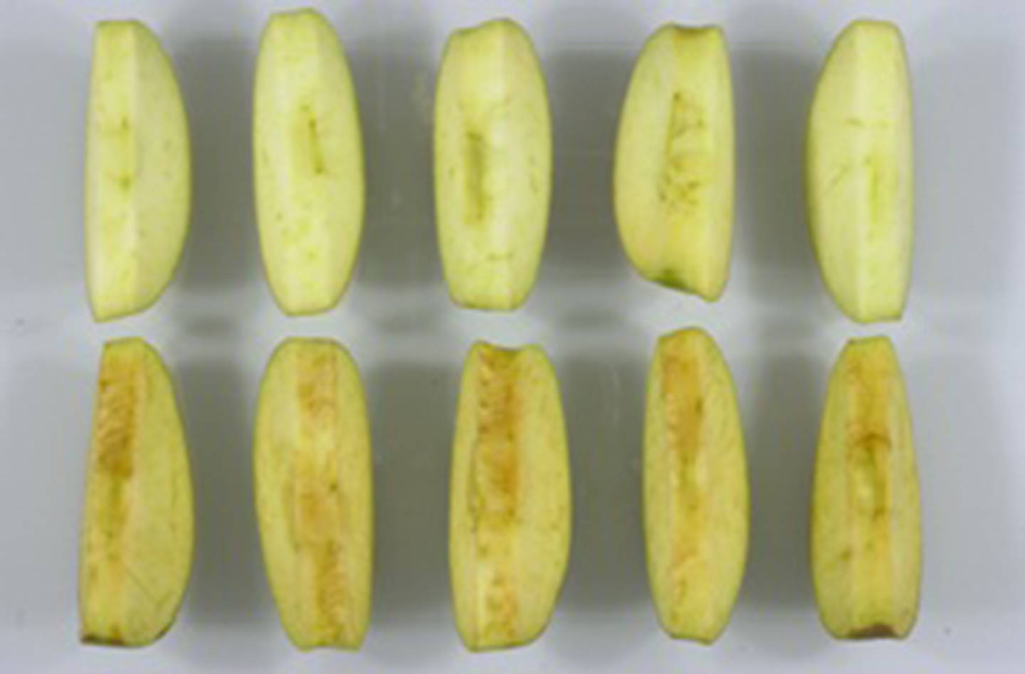NONBROWNING APPLE                                The Arctic apple was developed by Okanagan Specialty Fruits in Summerland (Arcticapples.com)