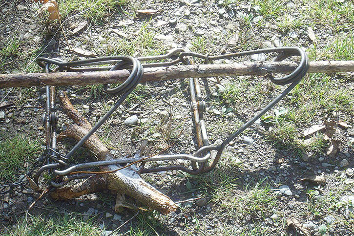 An animal trap found in the Linley Valley in 2013. (Photo submitted)