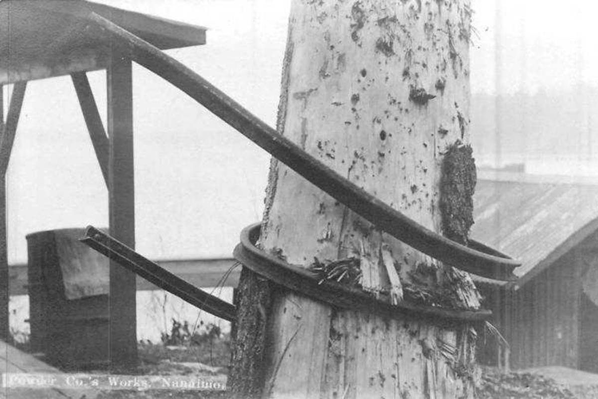 In 1910 an explosion at the Departure Bay powderworks wrapped a rail around a tree it was so powerful. (submitted)