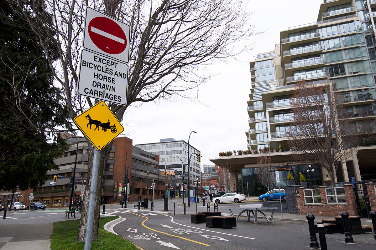 Horse-drawn carriages are permitted to go down the bike lanes on Humboldt Street. (Nicole Crescenzi/ News Staff)