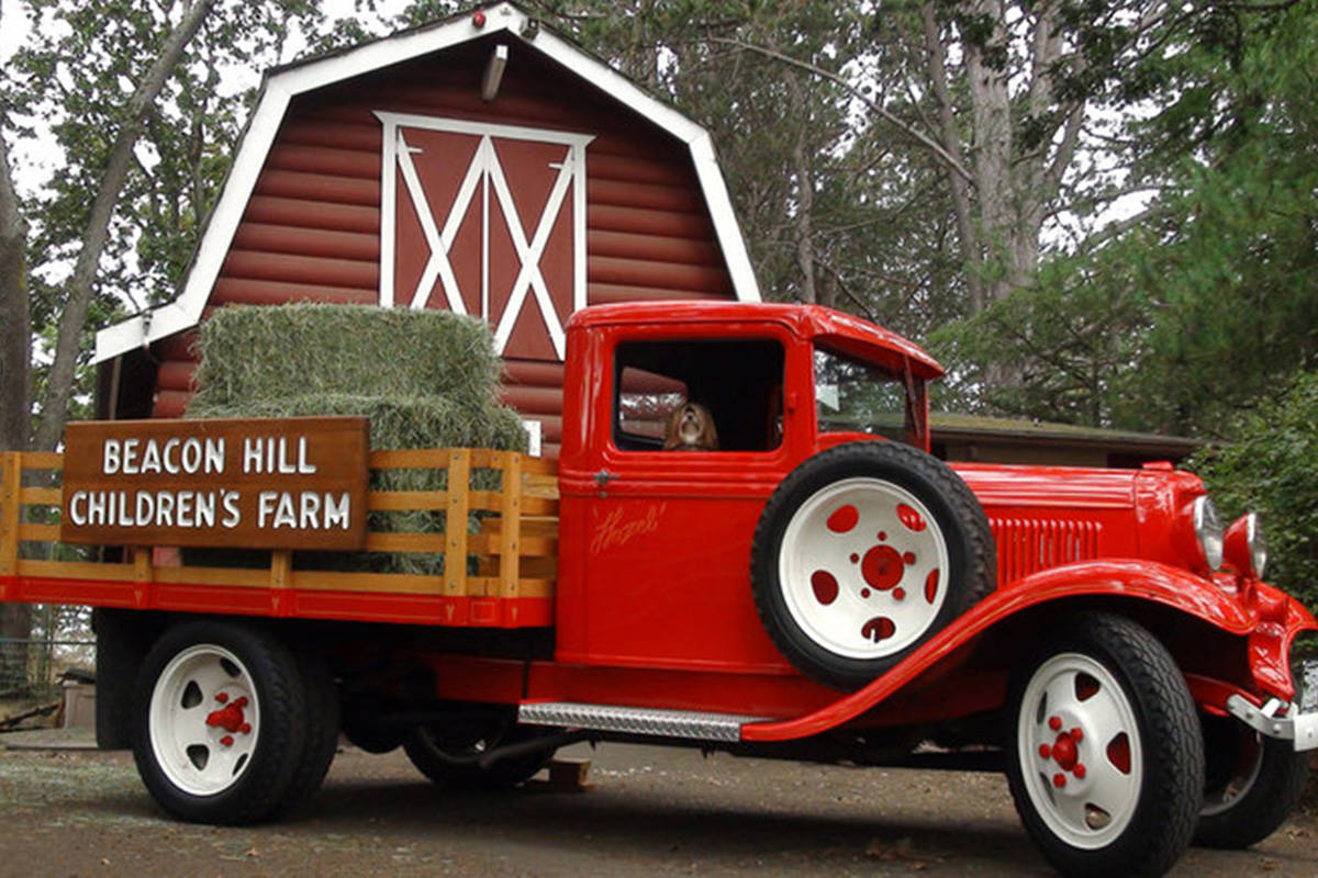 Beacon Hill Children’s Farm will be closed to the public due to the risk of COVID-19. (Black Press Media file photo)