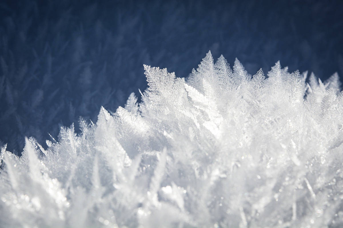 A 38-year-old temperature record was broken in the Campbell River area on March 16, 2020. The coldest temperature recorded on this day since 1958 is now -7.5 C. Pixabay image