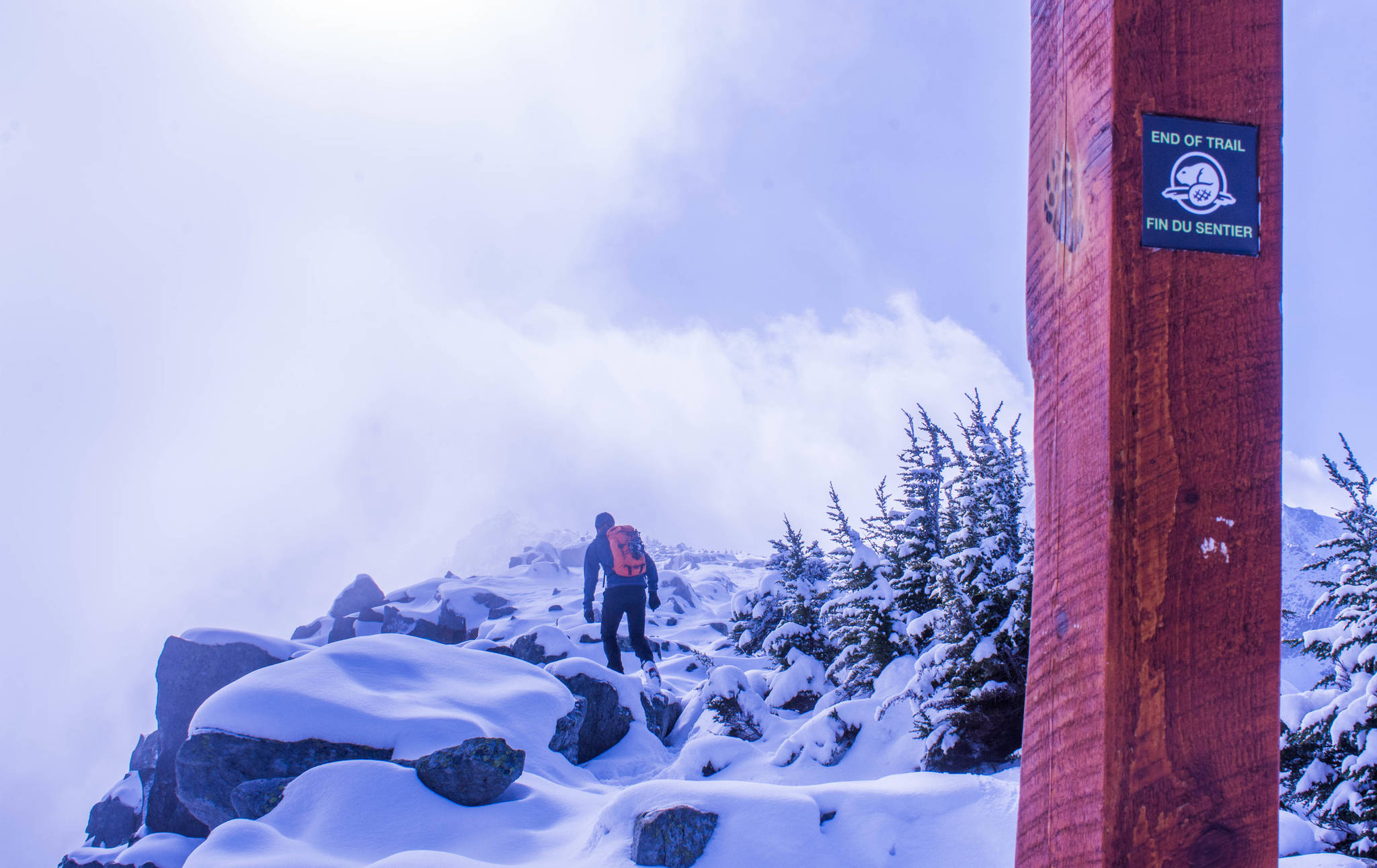 Parks Canada is closing parking lots. (Liam Harrap/Revelstoke Review)