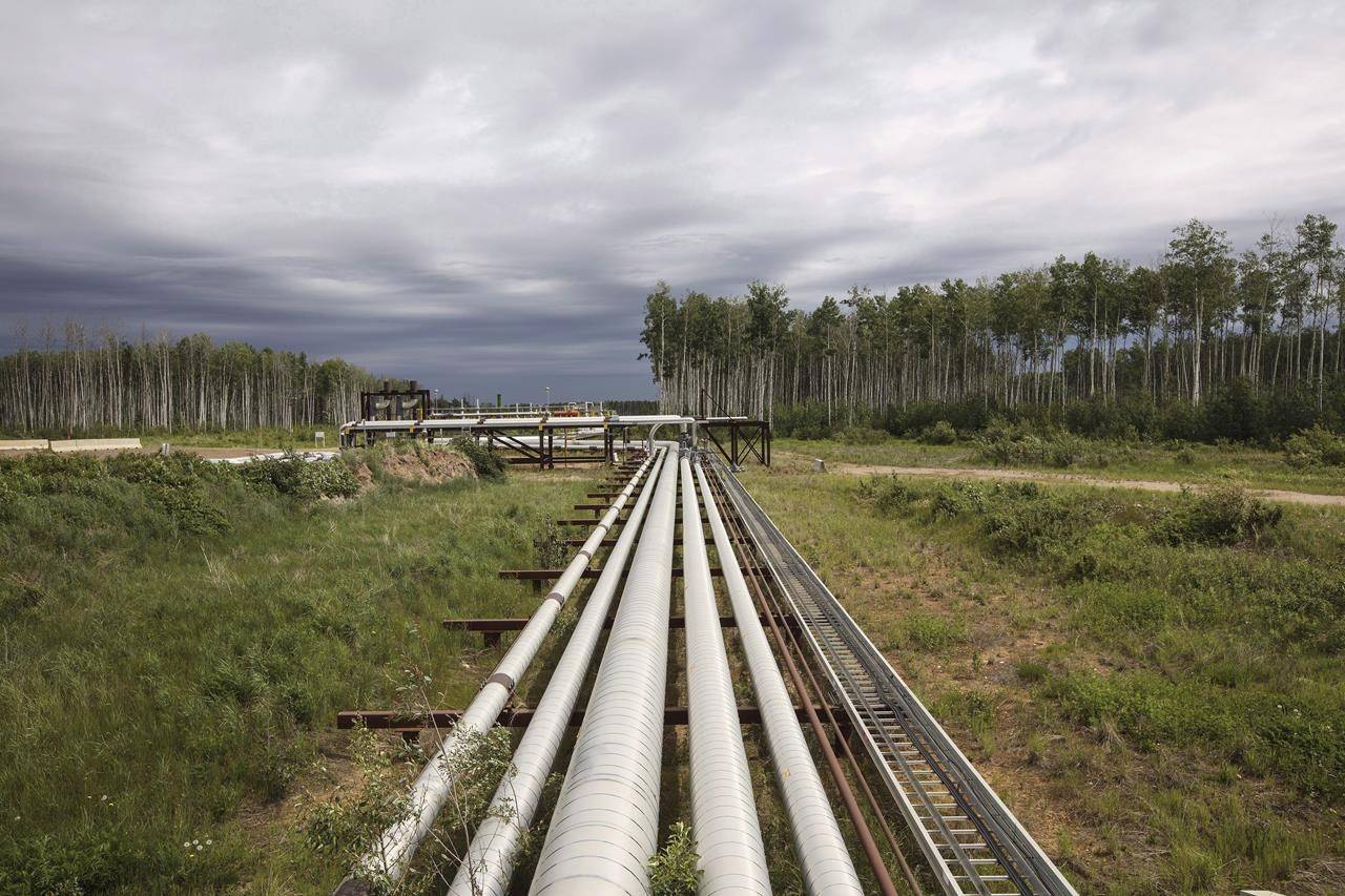 Suncor pipes that carry various liquids from their MacKay River pad in the oil sands in Fort McMurray Alta, on Monday June 12, 2017. Budget cutting in response to the twin challenges of COVID-19 demand destruction and low oil prices as Saudi Arabia and Russia fight a price war mean the world’s oil and gas industry will likely spend less on renewable energy going forward. THE CANADIAN PRESS/Jason Franson