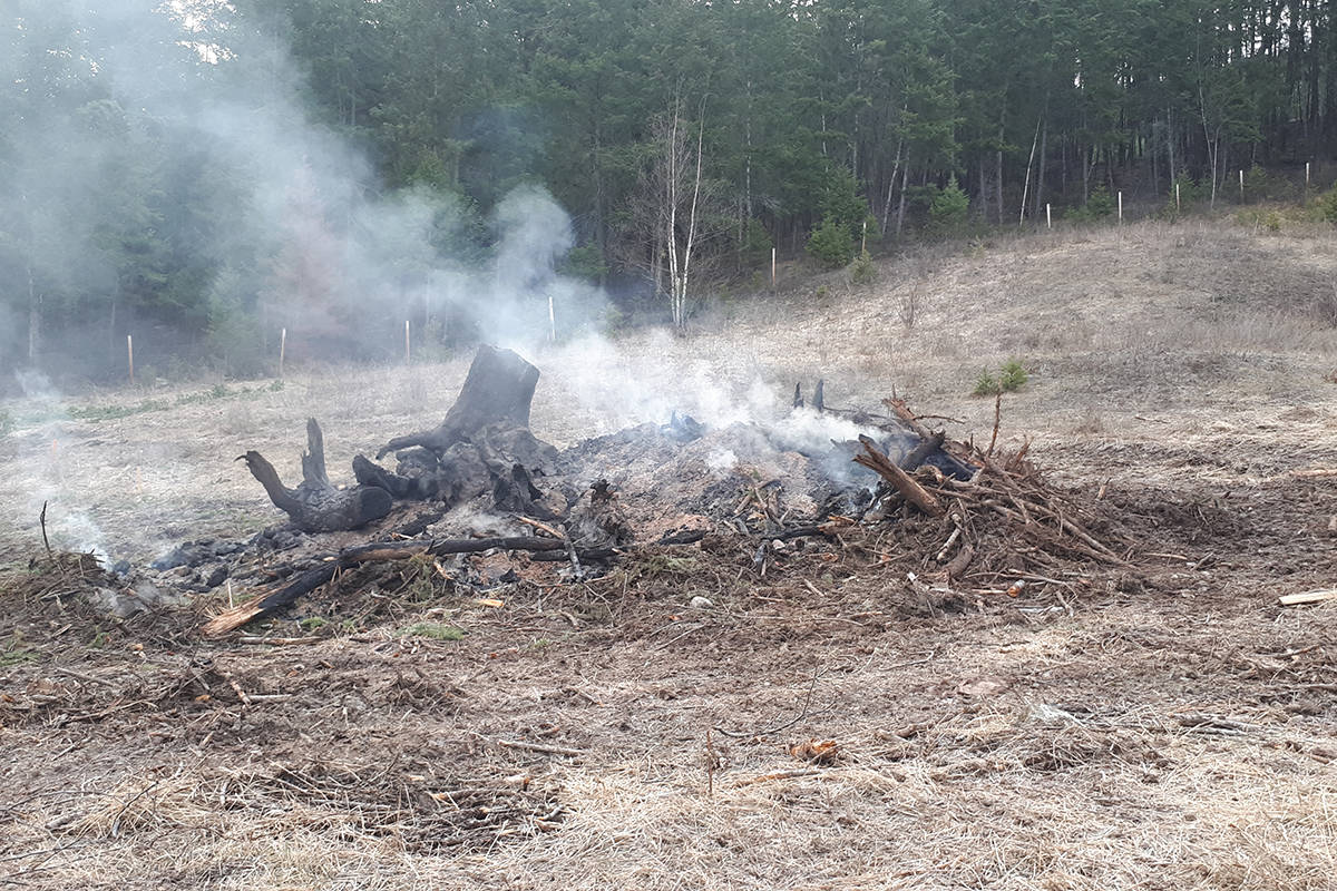 There will be a Category 2 and 3 fire ban in place as of Monday, April 16 in B.C. (Monica Lamb-Yorski - Black Press Media)