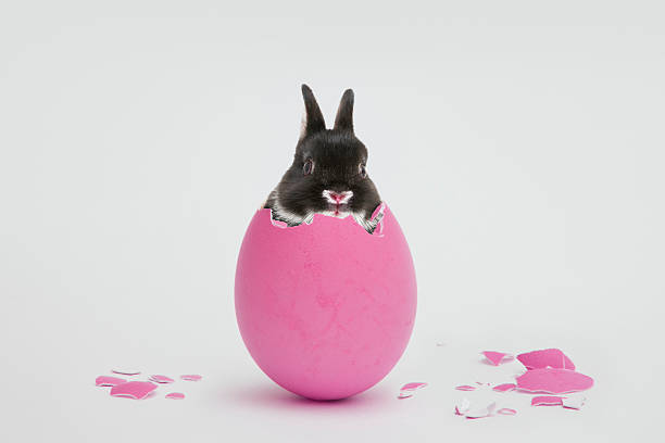 VIDEO: Easter festivities may be scaled back, but it can still be a fun holiday