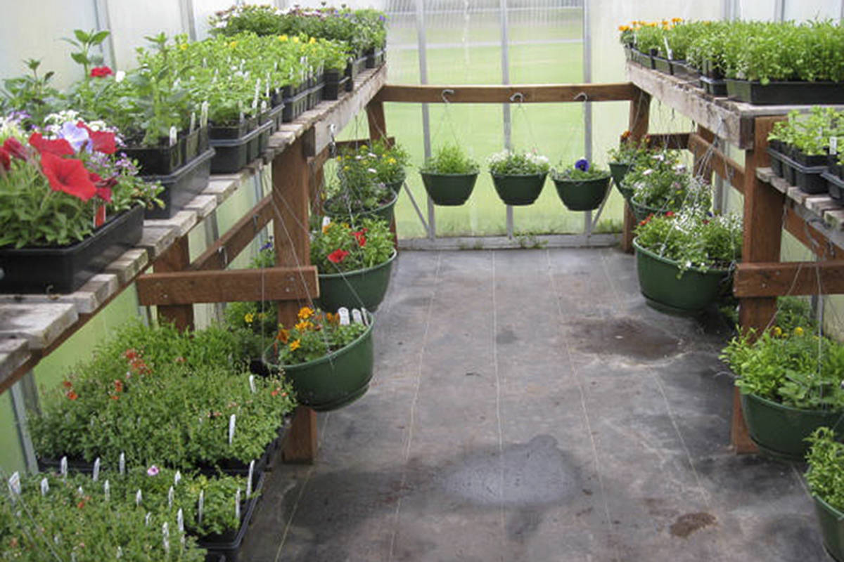 Greenhouses used by the City’s Parks and Recreation department are being eyed for food production. (Black Press Media file photo)