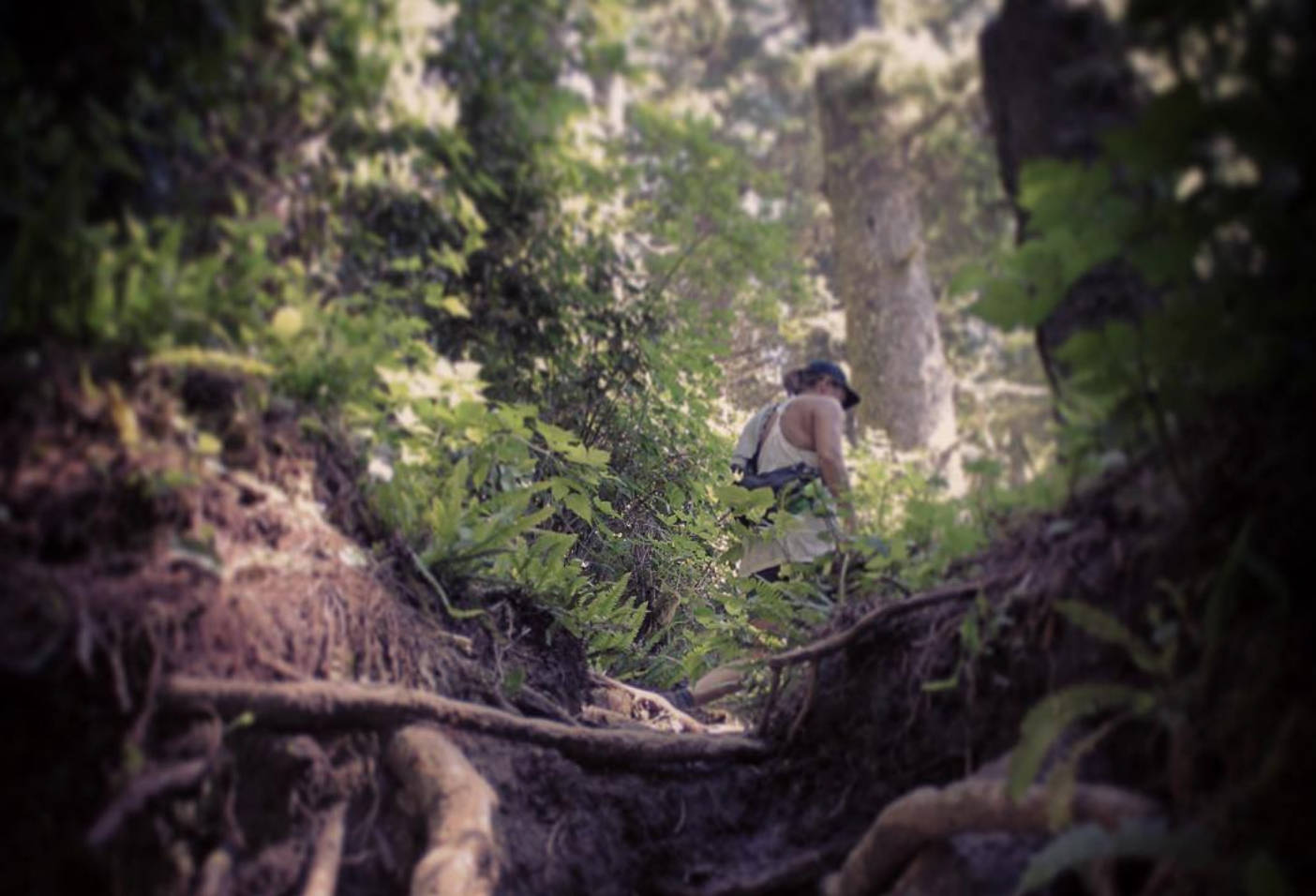 Vancouver Island trail access depends on jurisdiction and use