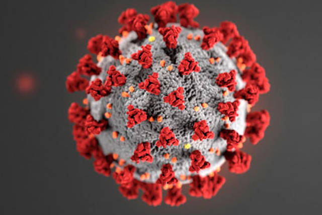 COVID-19. (Courtesy the CDC)
