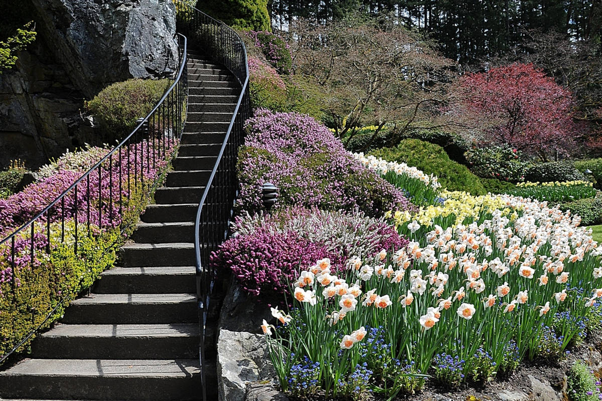 Butchart Gardens closed March 26 due to the COVID-19 pandemic, but reopened May 1 with new physical distancing rules in place. (Black Press Media file photo)