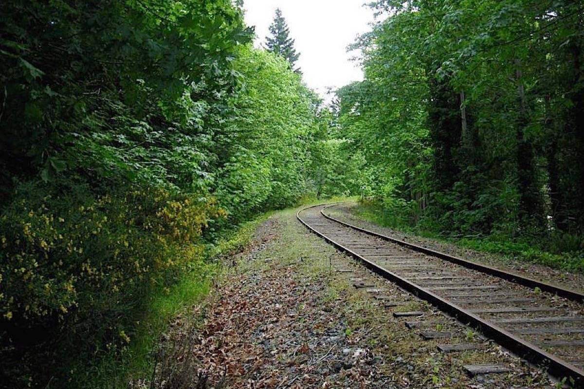 A segment of the Island Rail corridor, formerly known as the E&N Railway. File Photo
