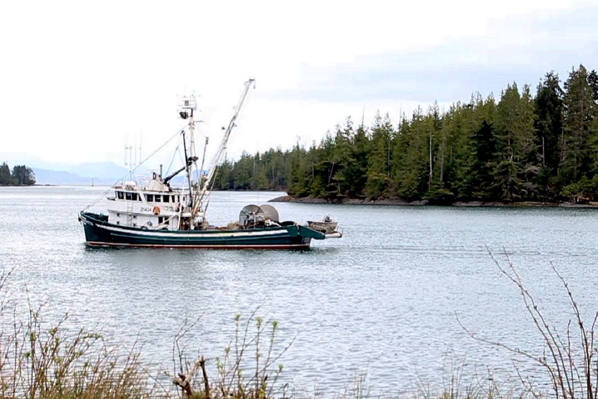 $469 million federal funding for fish harvesters welcomed by MP Rachel Blaney