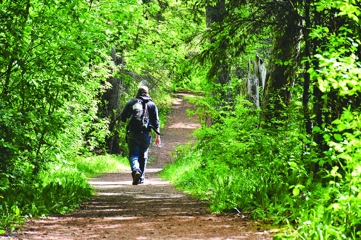 BC Parks are slated to begin gradually re-open as of Thursday, May 14, 2020, with some restrictions. (Black Press Media file photo)