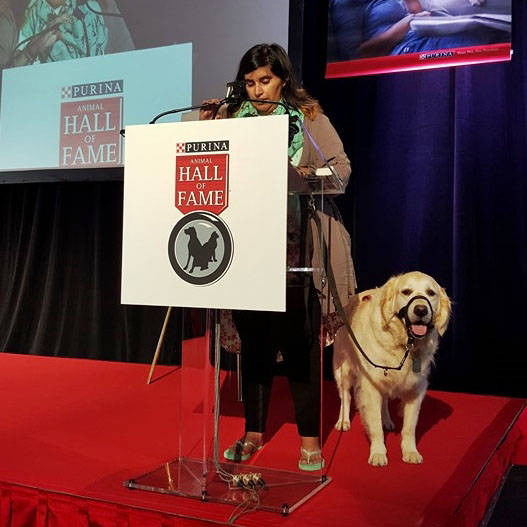 Shadow, Kayla Aolicks’ seizure response dog, was inducted into the Purina Hall of Fame in 2015. Shadow contracted a painful sickness in April and has now been laid to rest. (PHOTO COURTESY AOLICK FAMILY)