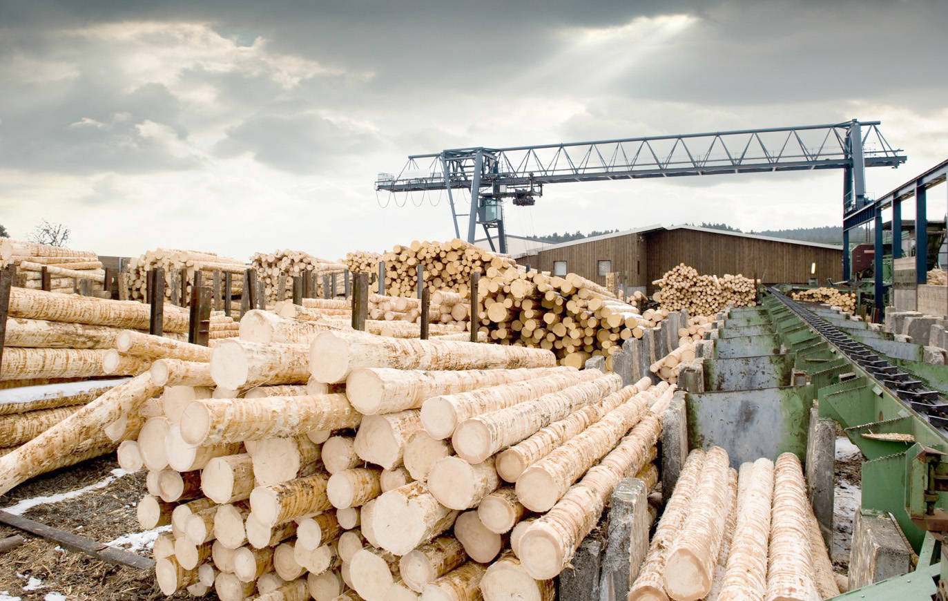 News of softwood lumber agreement lost amid COVID crisis