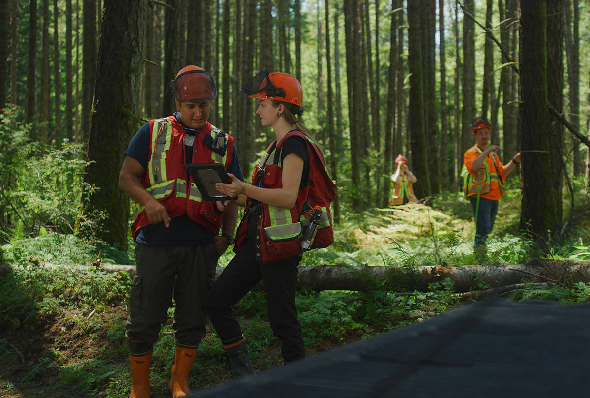 Two new programs centred on coastal forestry are coming to North Island College’s Campbell River campus this October. Image provided
