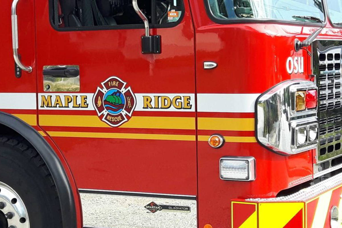 Maple Ridge firefighters have a long track record of rescuing animals in distress. But on Sunday, June 14, 2020, they were called to something out of the ordinary – a report of a puppy trapped inside a couch. (file)
