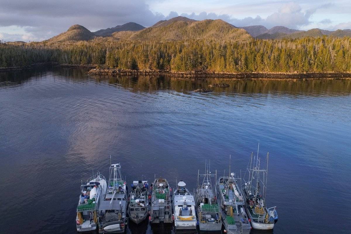 Geoduck harvesting vessels on west coast of Vancouver Island (Photo/Geoduck from Canada)