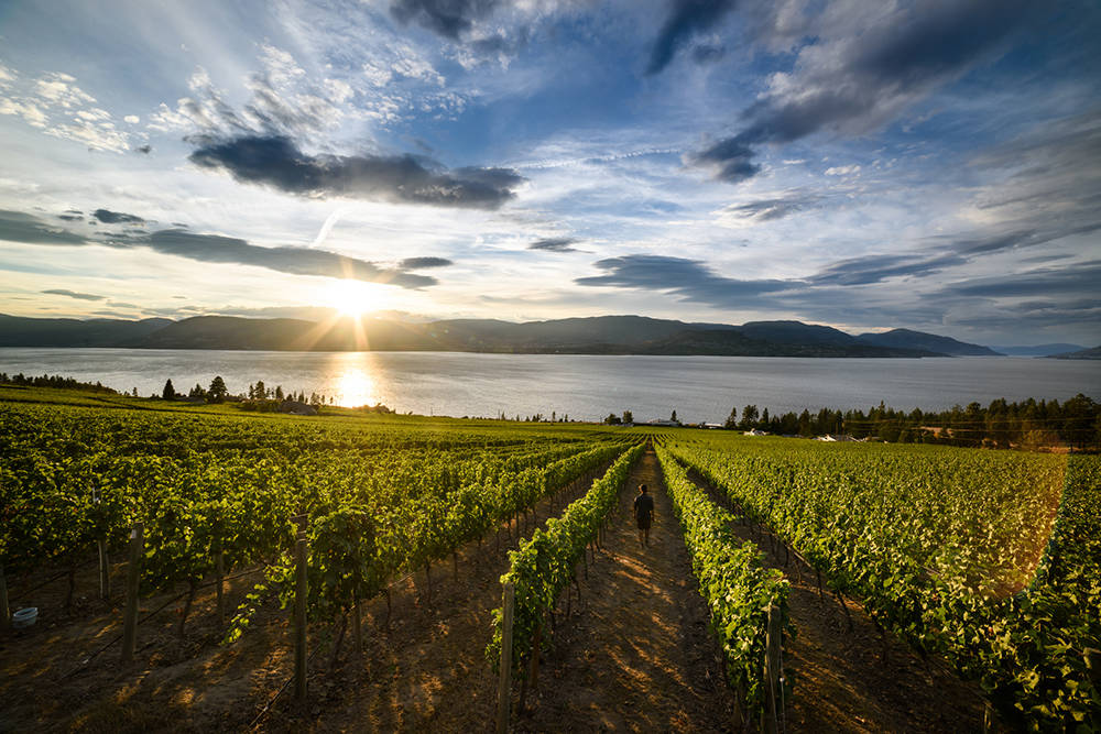 From Valleys to Vineyards: British Columbia’s Bountiful Playground