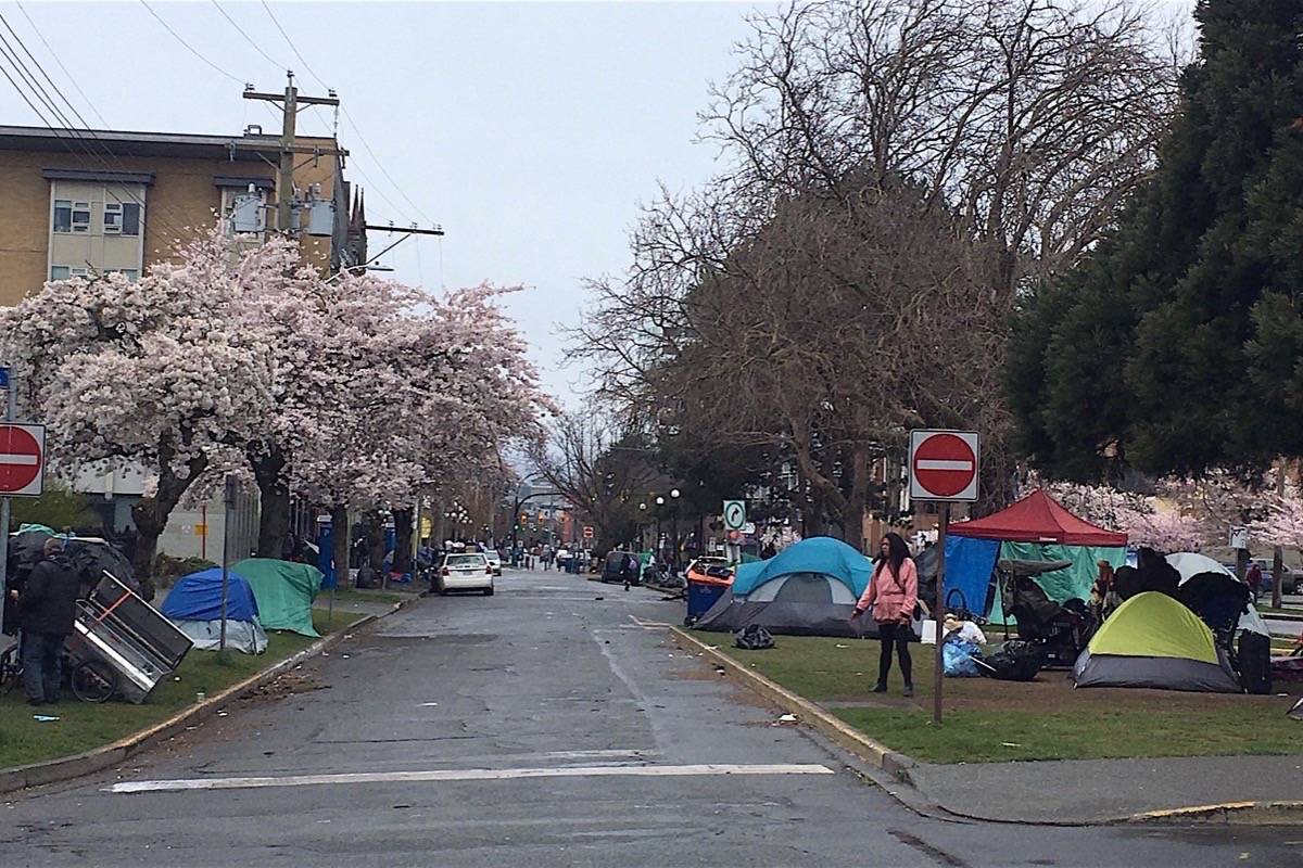 Tent camp grows rapidly on Pandora Avenue in Victoria after drop-in centres closed due to COVID-19, March 26, 2020. (Tom Fletcher/Black Press)