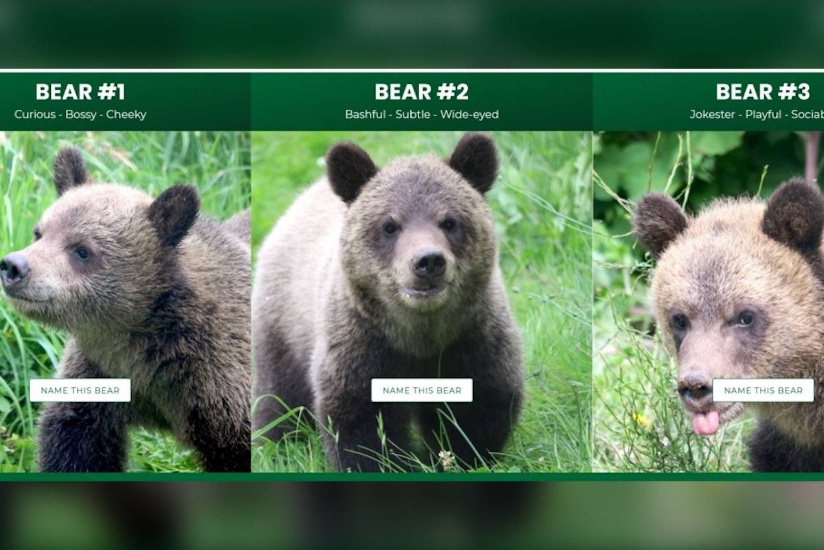 (Greater Vancouver Zoo/Special to the Aldergrove Star)