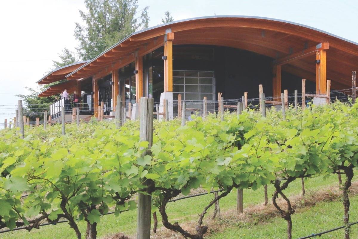 Blue Grouse’s winemaker led the initiative, but it would not have been possible without the enthusiastic co-operation of every winery and grape grower in the valley (Citizen file)