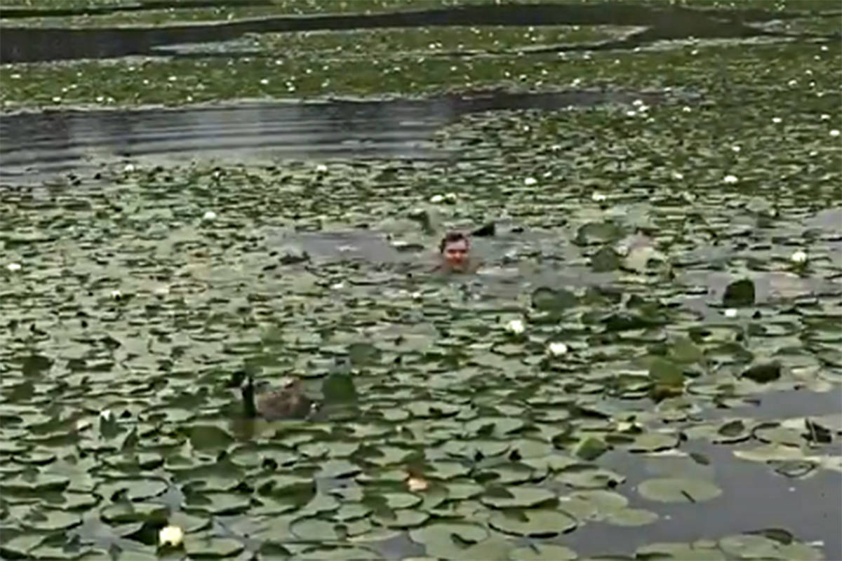 Screenshot from B.C. Conservation video.